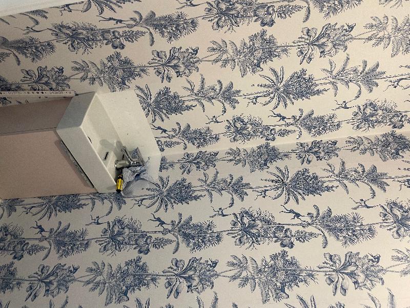 Really lovely wall paper, subtle monkey pattern.