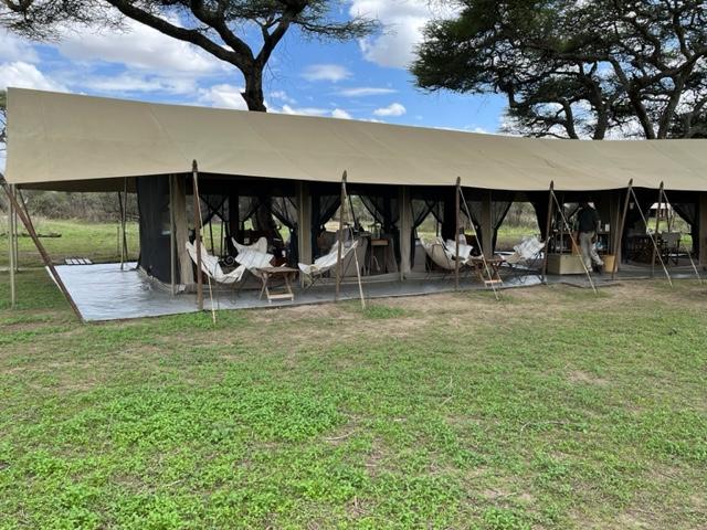 Fabulous game viewing
