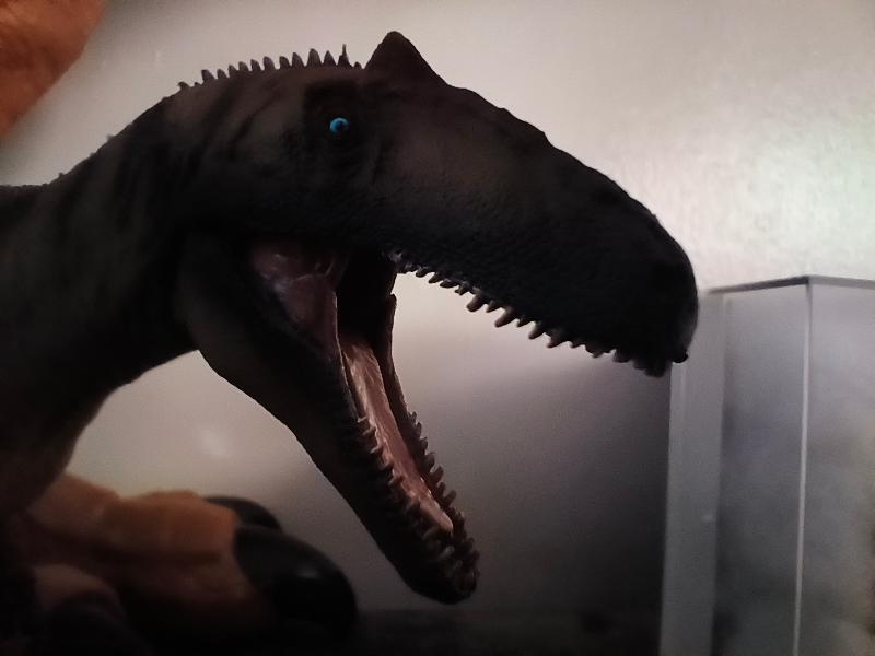 Excellent service, and the Dino sheet was an added bonus highly recommend