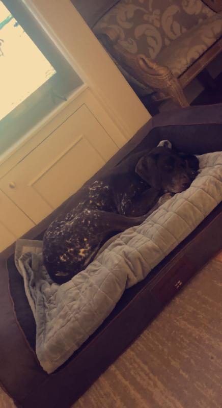 Amazing bed