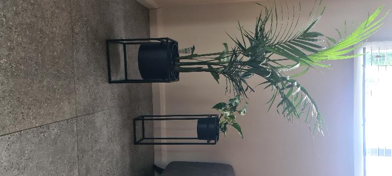 Brent Metal Plant Stand Black - Tall