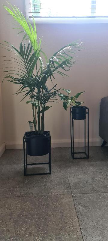 Brent Metal Plant Stand Black - Short