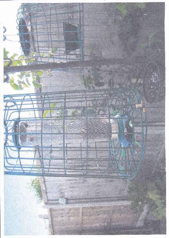 Feeder Guardian Cages