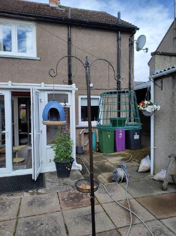 Suet Pellet & Mealworm Guardian Bird Feeder