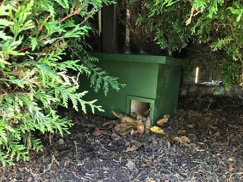 Eco-plate Hedgehog House