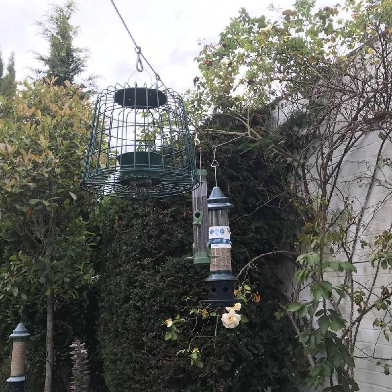 I turned to CJ Wildlife because I can’t find a fat-pellet feeder for use above ground…