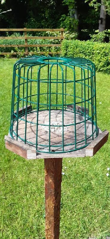 Feeder Guardian Cages