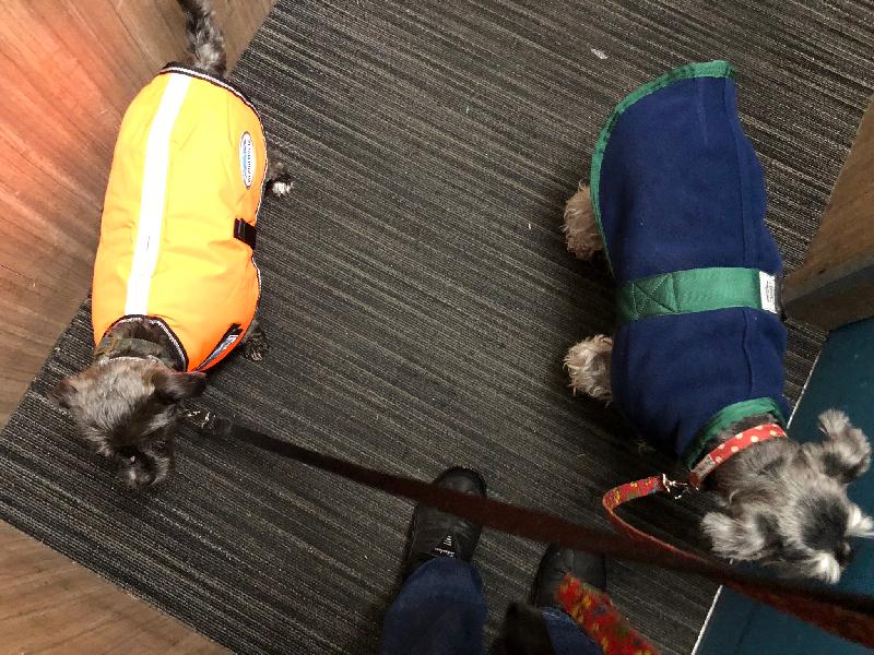 Finally a coat that fits