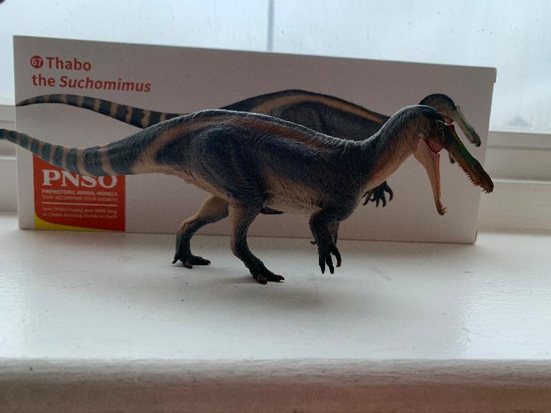 Everything Dinosaur knocks it out the park yet again!