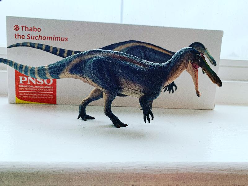 Everything Dinosaur knocks it out the park yet again!