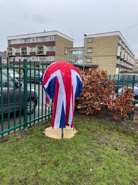 Unveiling