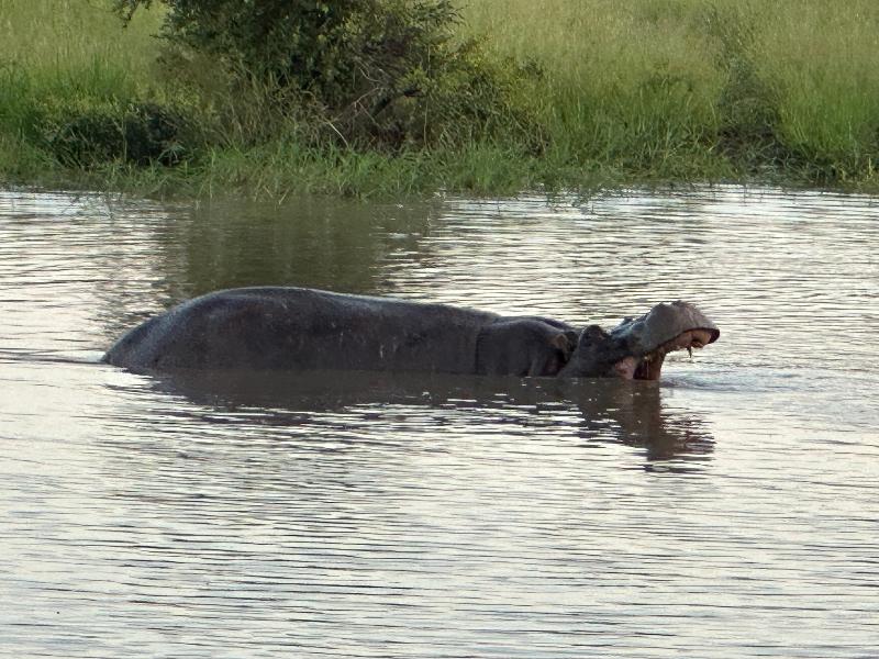 Planning to Perfection! The Safari of our dreams!