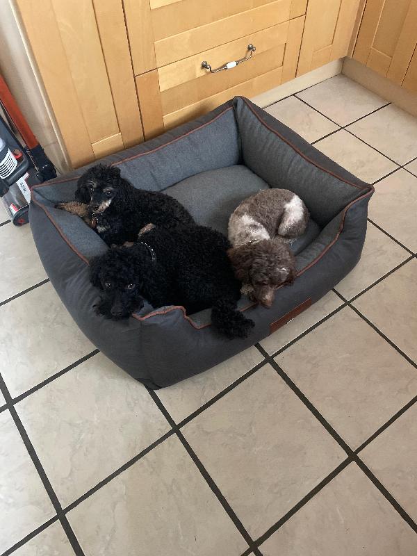 Fab beds