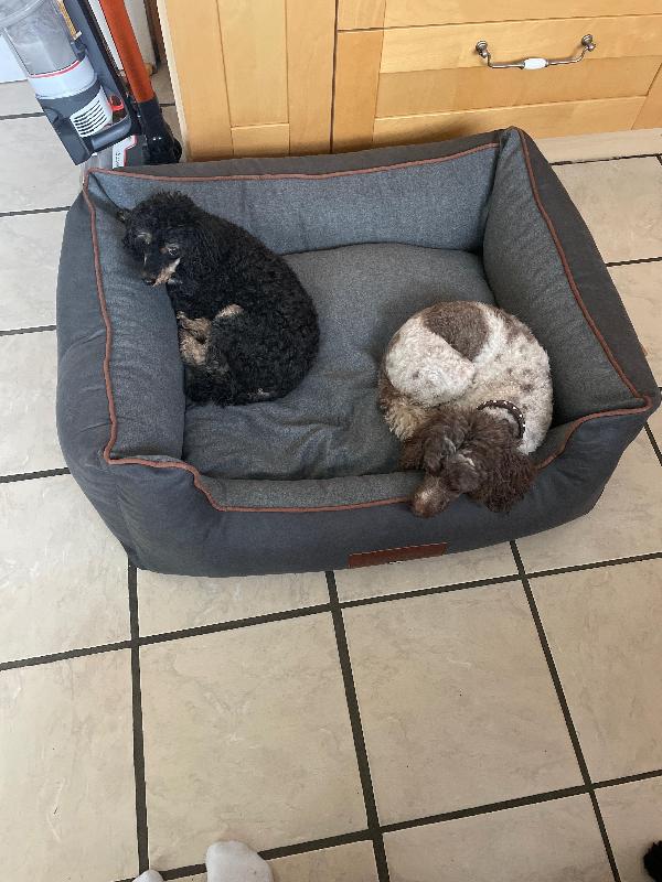 Fab beds