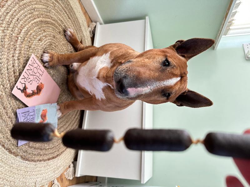 Excellent service and my dog enjoyed the sausages