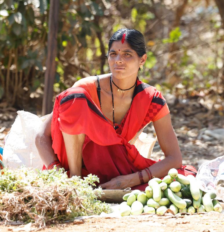 Wild India
