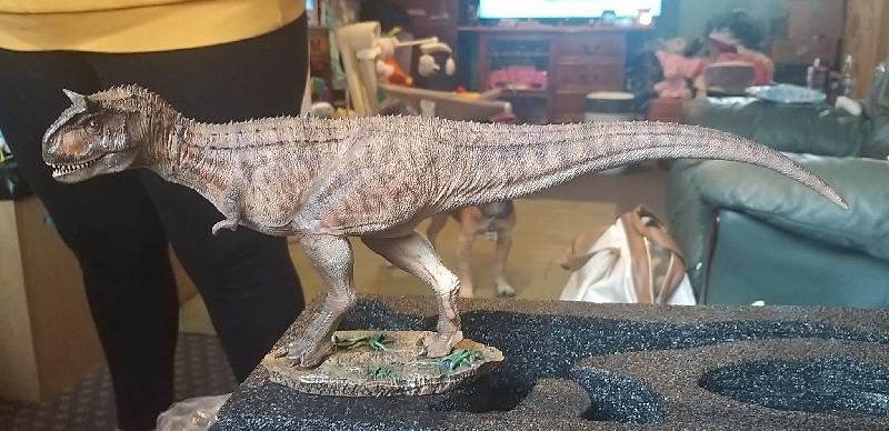 Good place to buy your dinosaur models from