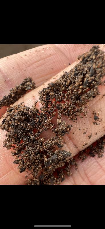 Worst quality top soil,Full of sand particles.Not recommended