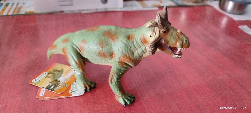 Reliable dinosaur store with quality service