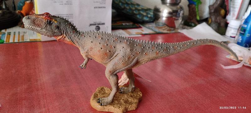 Reliable dinosaur store with quality service