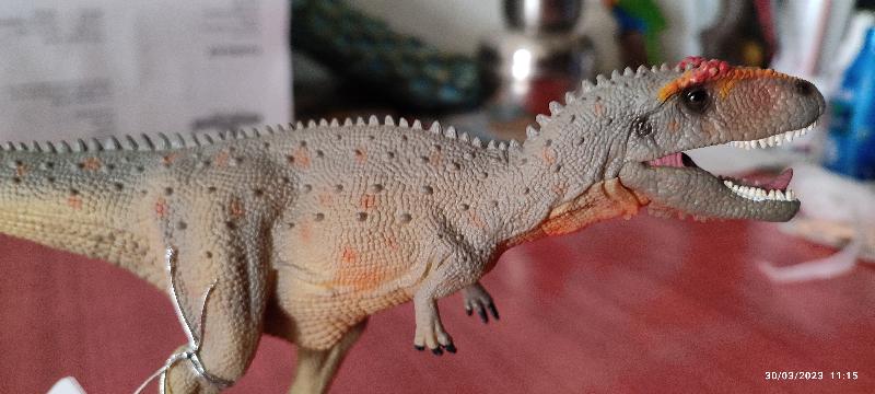 Reliable dinosaur store with quality service
