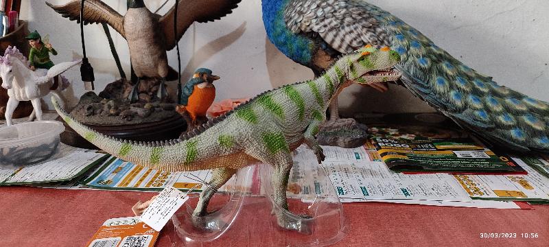 Reliable dinosaur store with quality service