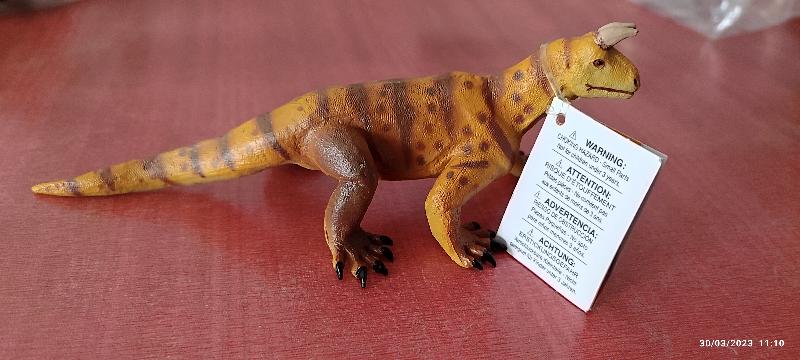 Reliable dinosaur store with quality service
