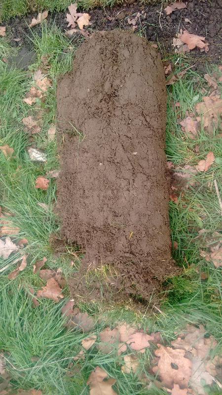 worst turf in 12 years
