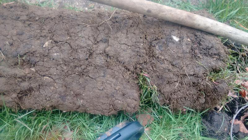 worst turf in 12 years