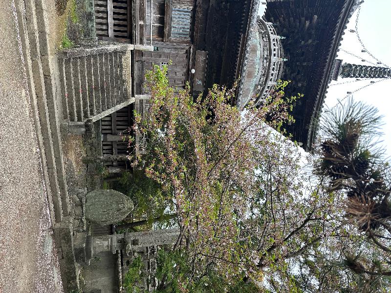 Japan is gracious and beautiful