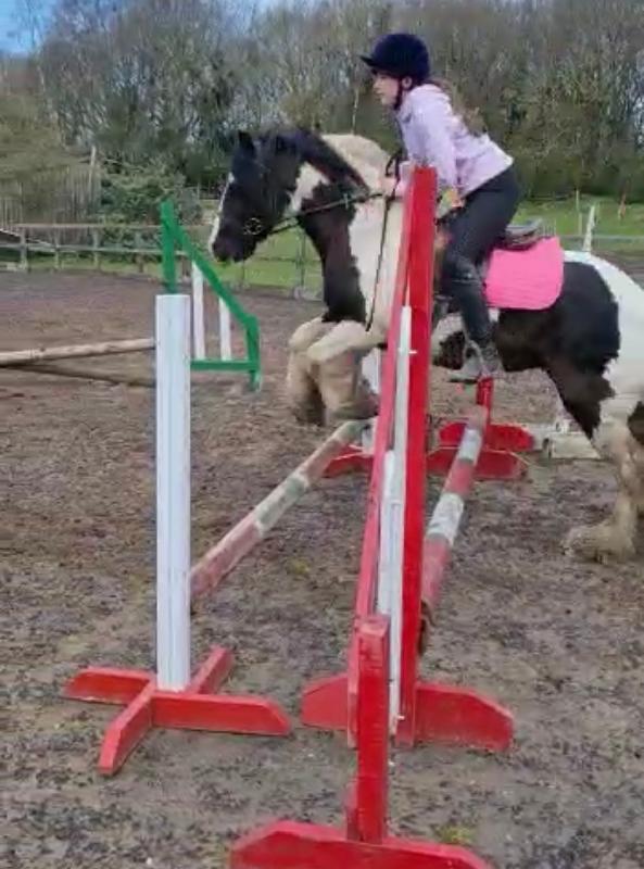 Amazing saddle pads very good quality