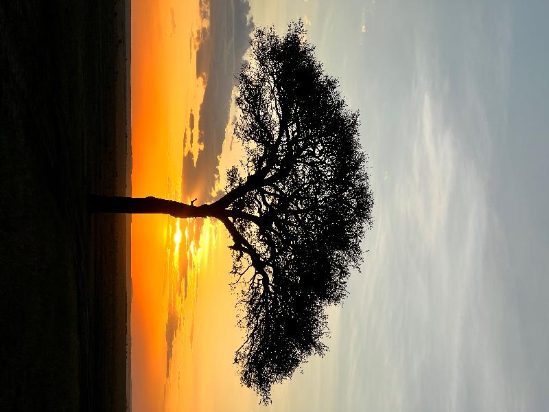 An epic adventure! I highly recommend African travel!