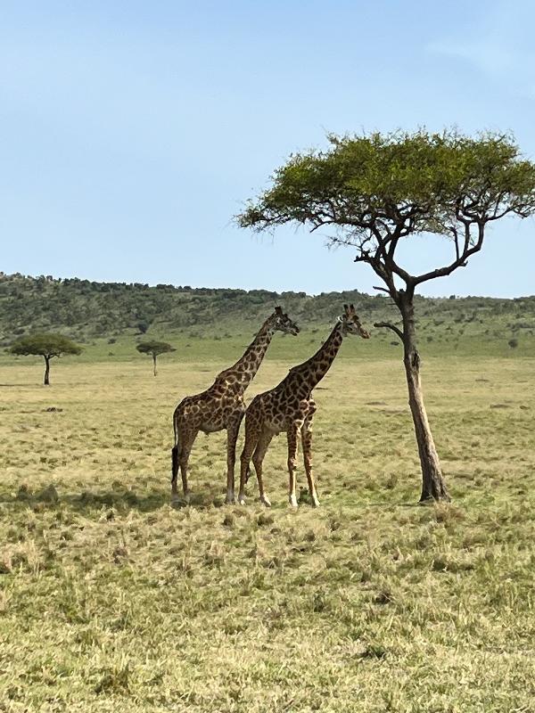 An epic adventure! I highly recommend African travel!