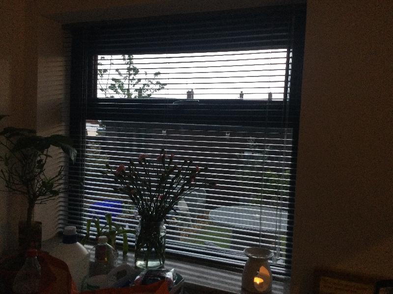 New build windows