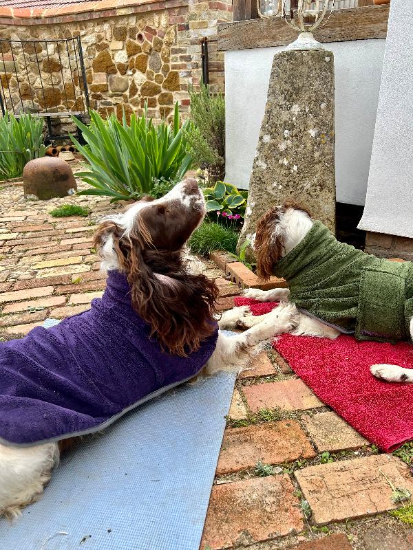 Superb! Really impressed! Fabulous drying coats - outstanding value