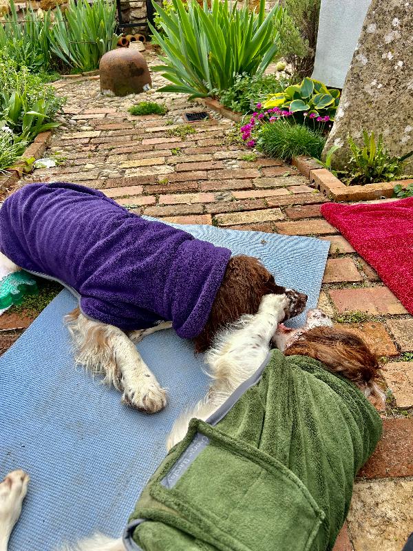 Superb! Really impressed! Fabulous drying coats - outstanding value