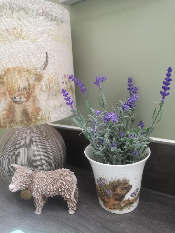 Great website for treats and gifts