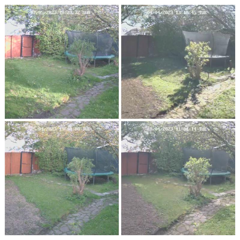 Great service great grass