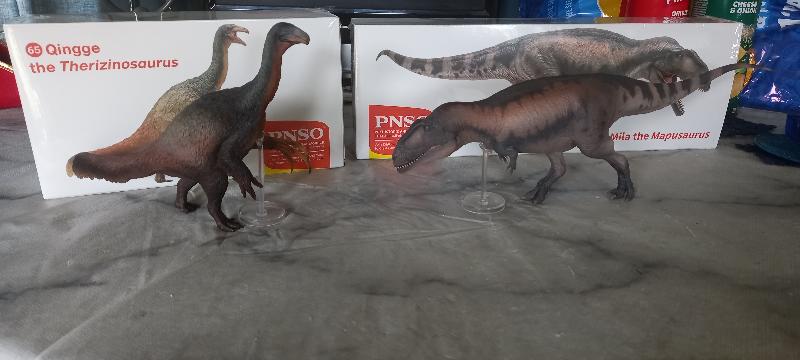 Amazing models