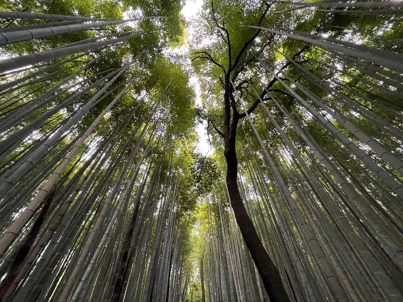 Great trip across Japan