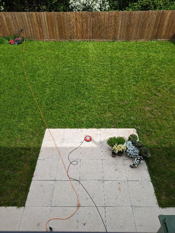 Extra shady grass seed