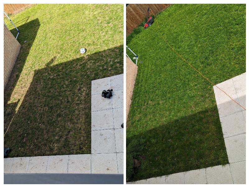 Extra shady grass seed