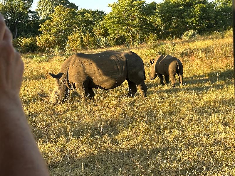 Fantastic Safari with African Travel & Wilderness!