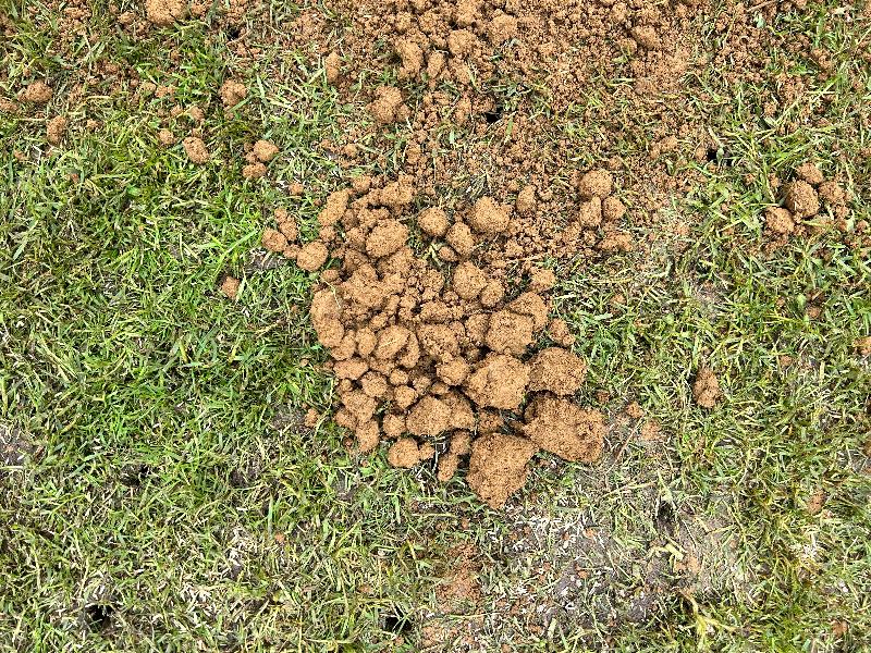 Too many clumps of soil. Large rock in soil