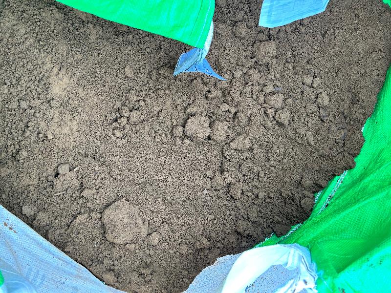Too many clumps of soil. Large rock in soil