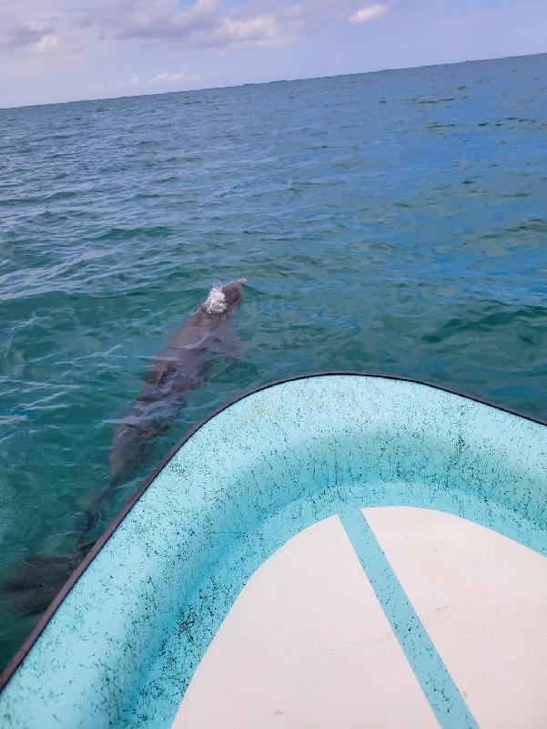 Such a relaxing and fun vacation!