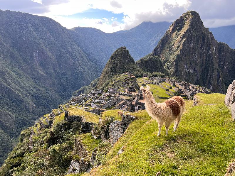 Adventure Life made our trip to Peru easy and exciting!