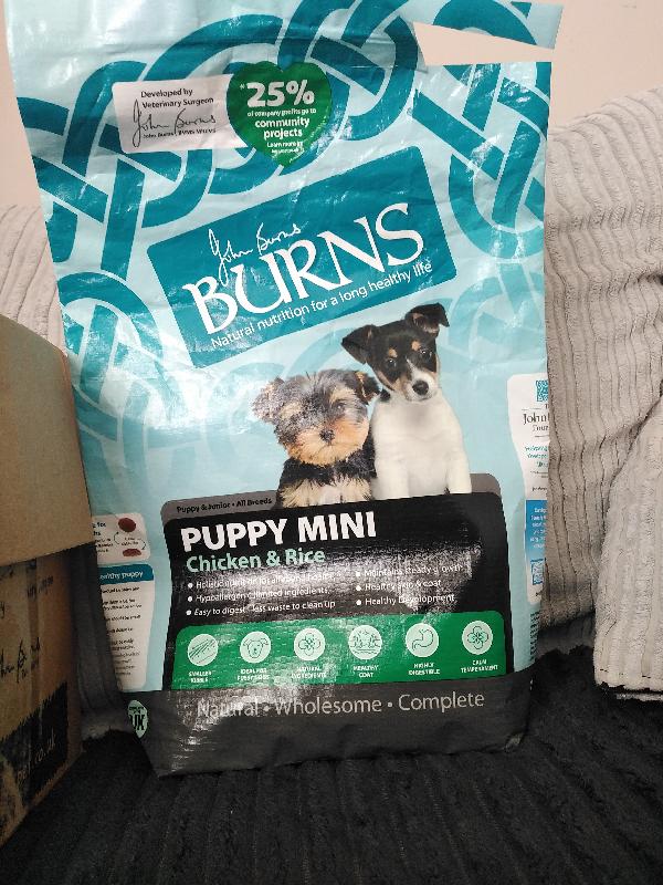 Puppy Club Highly Recommended