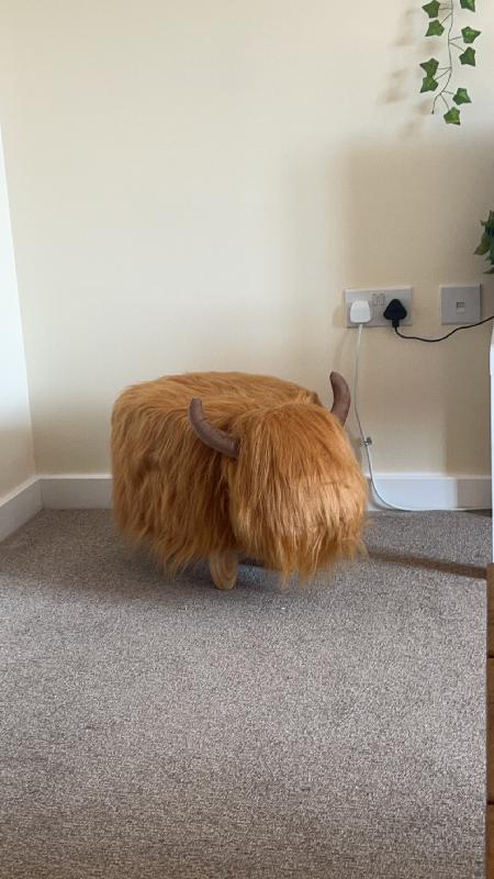 Highland Cow Footstool