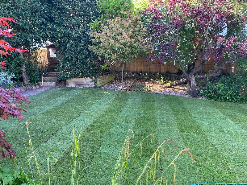Turf Times